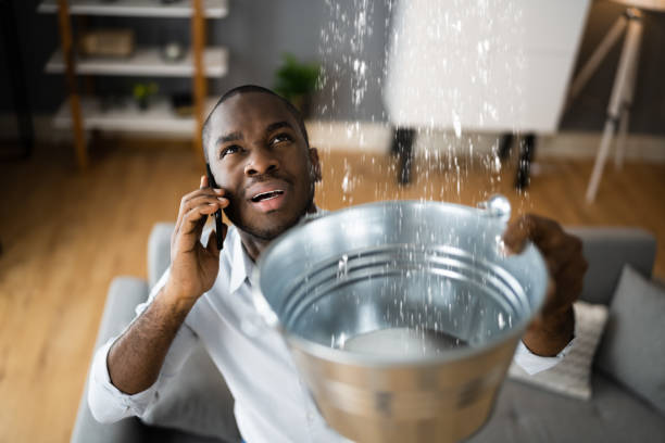 Best Professional water damage repair  in Rogersville, MO
