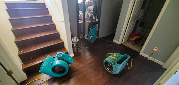 Best Basement water damage restoration  in Rogersville, MO