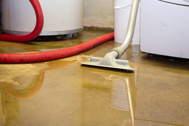 Best Commercial water damage restoration  in Rogersville, MO