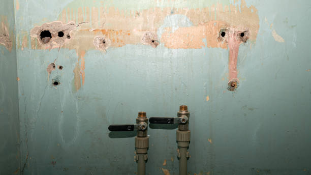 Best Local water damage restoration  in Rogersville, MO