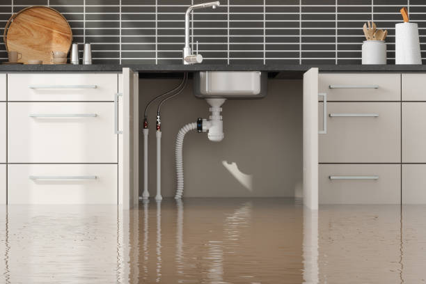 Best Flood restoration services  in Rogersville, MO