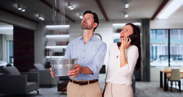 Best Ceiling water damage repair  in Rogersville, MO